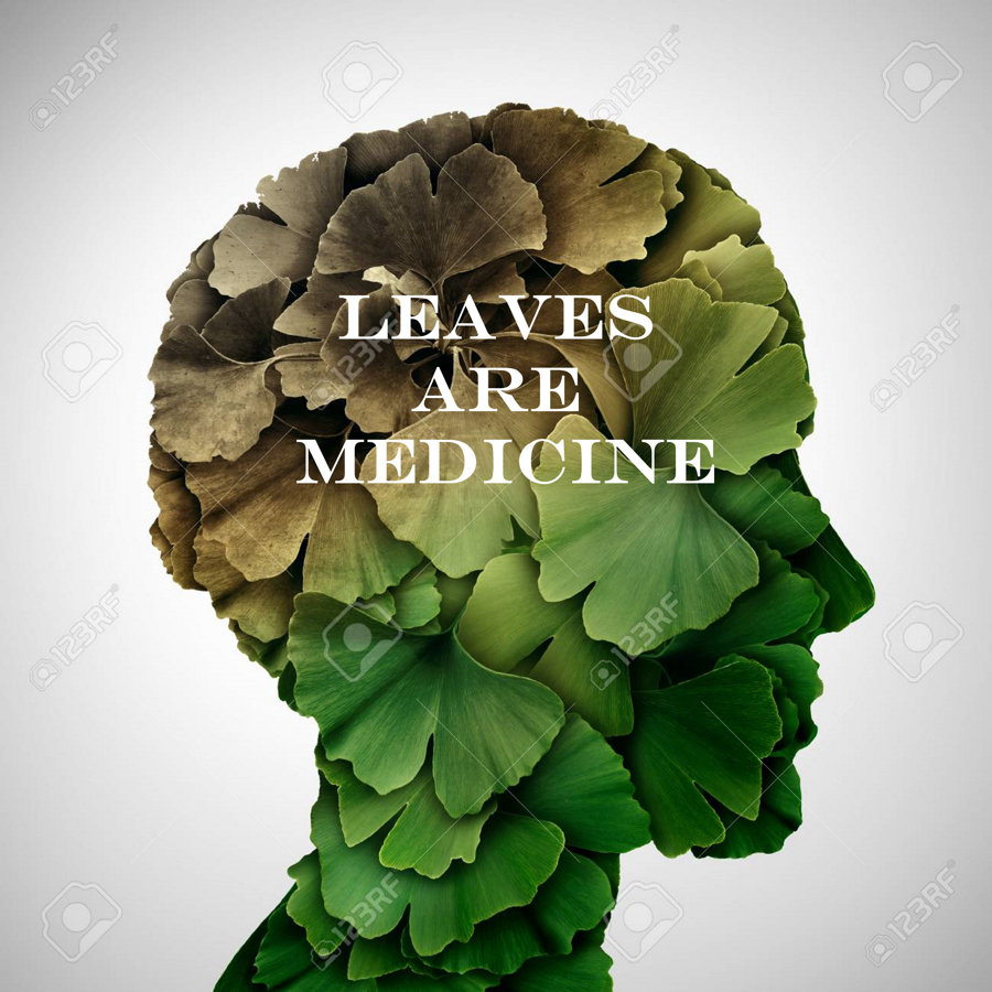Leaves Are Medicine